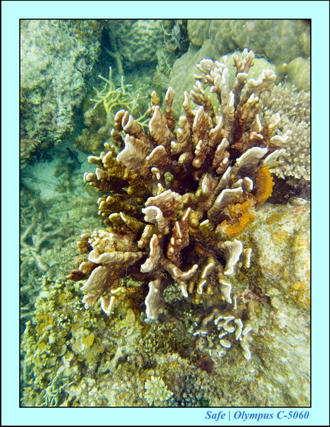 2008 - 07 - Perhentian - 032